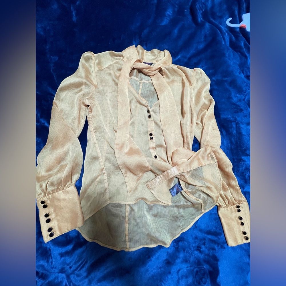 Elegant silk Gold Women's Blouse